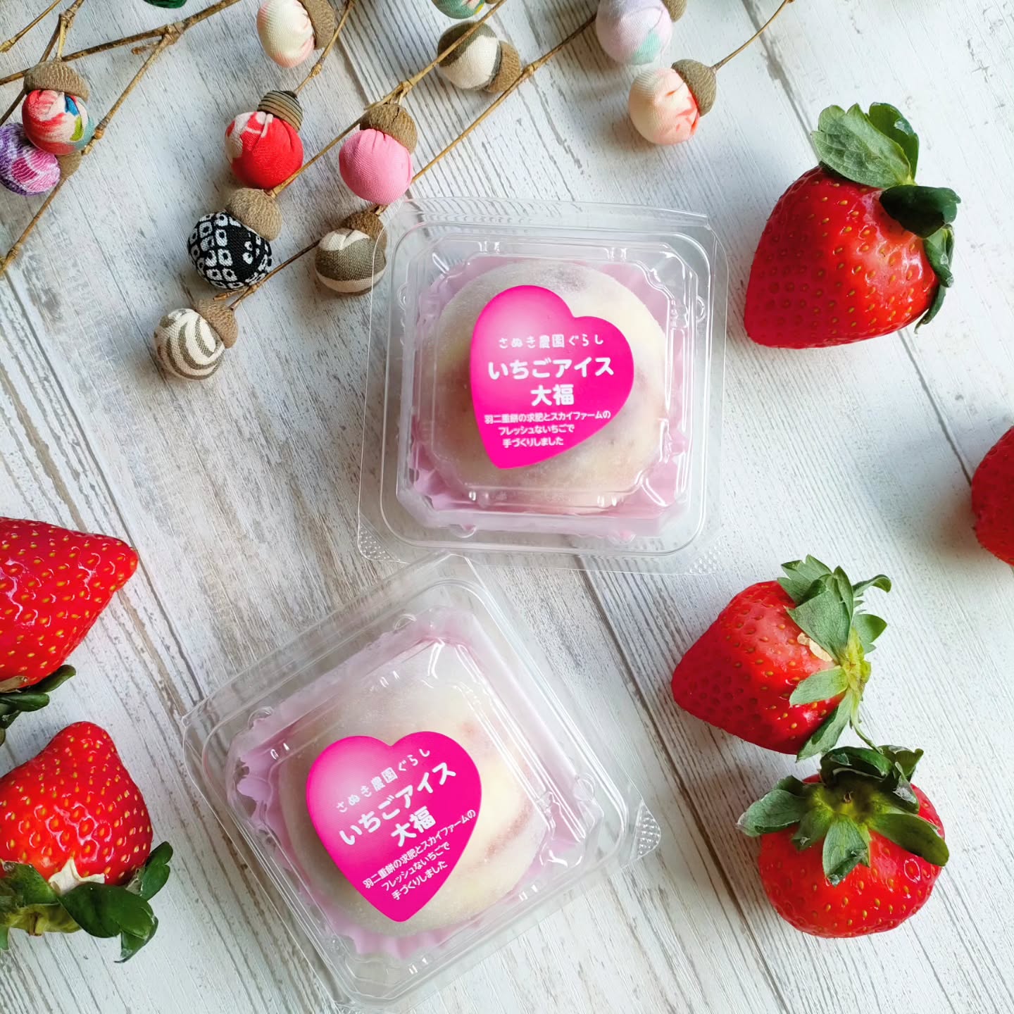 インフルエンサーの皆さんから