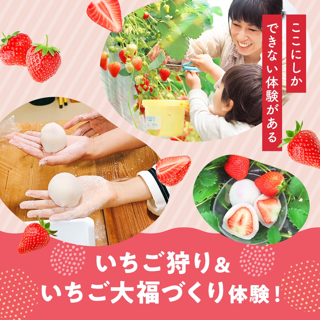 いちご狩り＆いちご大福づくり体験